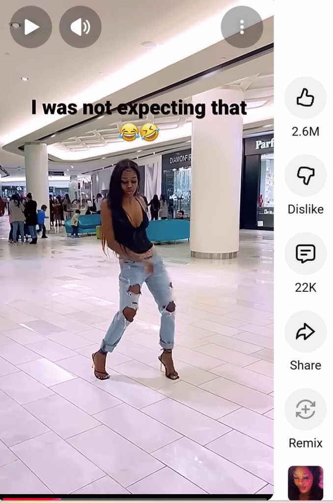 Saree-Clad Dancer Schooling Trolls with Rihanna’s ‘Rude Boy’